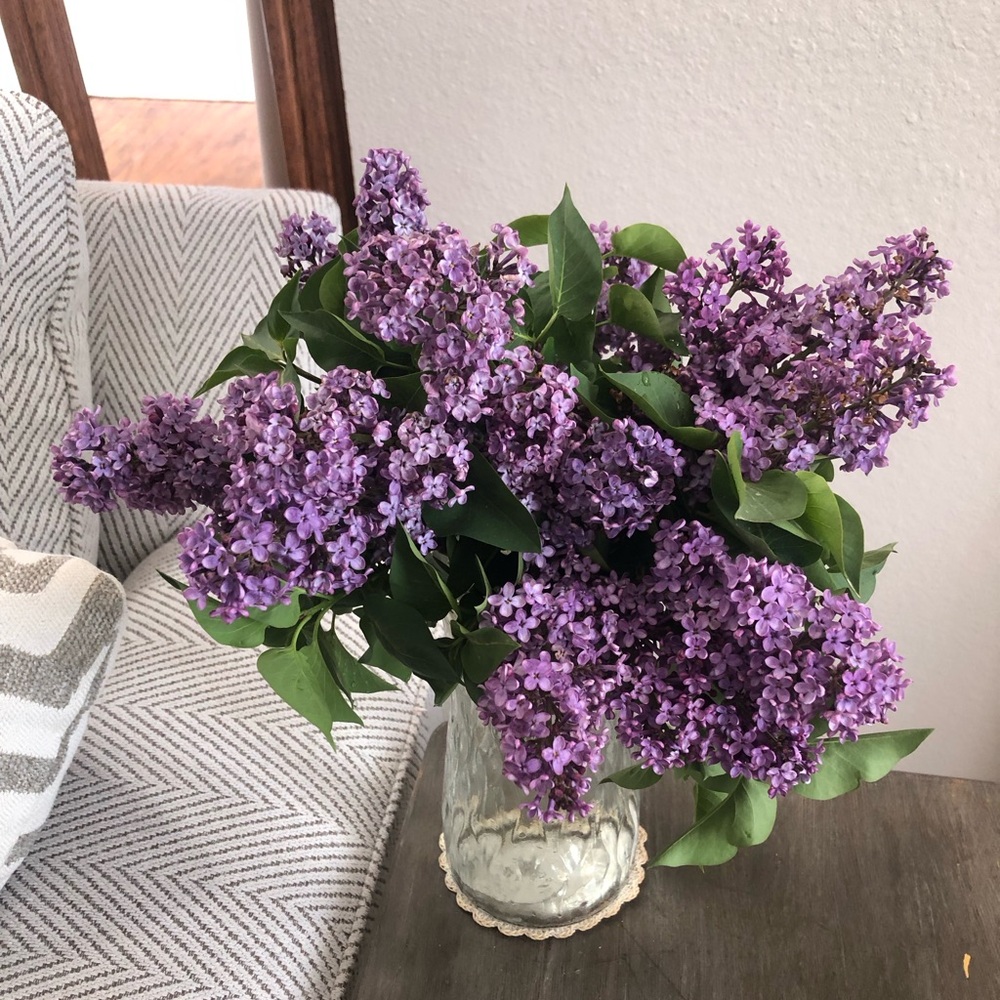 Meet your Posher, Tonja